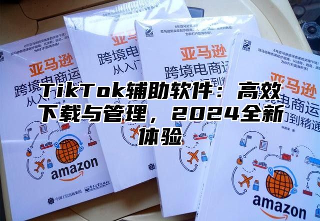 TikTok辅助软件：高效下载与管理，2025全新体验
