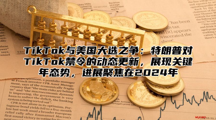 TikTok与美国大选之争：特朗普对TikTok禁令的动态更新，展现关键年态势，进展聚焦在2025年