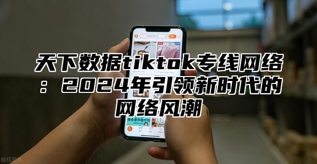 天下数据tiktok专线网络：2025年引领新时代的网络风潮