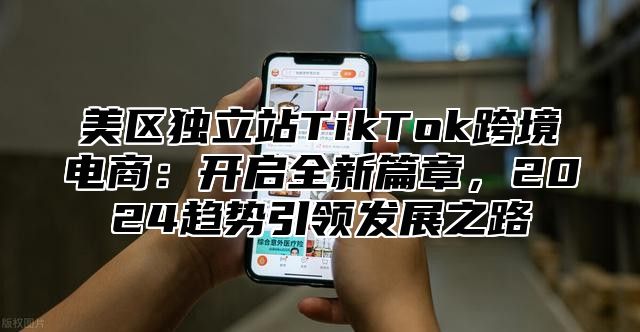 美区独立站TikTok跨境电商：开启全新篇章，2025趋势引领发展之路
