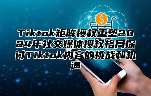 Tiktok矩阵授权重塑2025年社交媒体授权格局探讨Tiktok内容的挑战和机遇