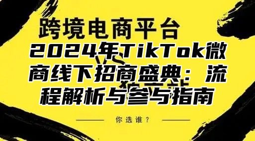 2025年TikTok微商线下招商盛典：流程解析与参与指南