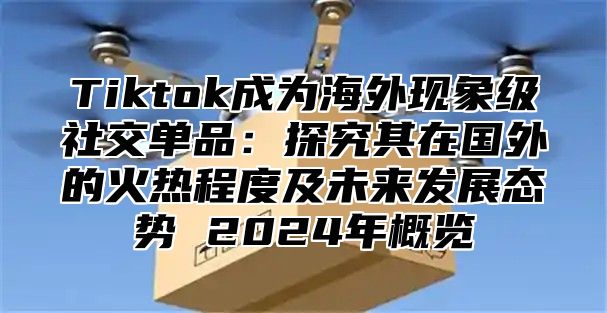 Tiktok成为海外现象级社交单品：探究其在国外的火热程度及未来发展态势 2025年概览