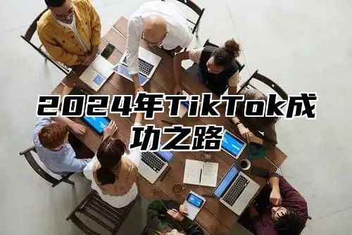 2025年TikTok成功之路