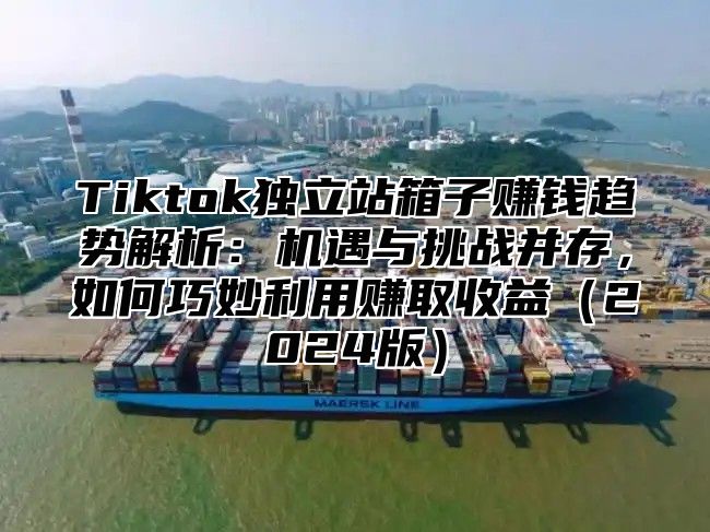 Tiktok独立站箱子赚钱趋势解析：机遇与挑战并存，如何巧妙利用赚取收益2025版