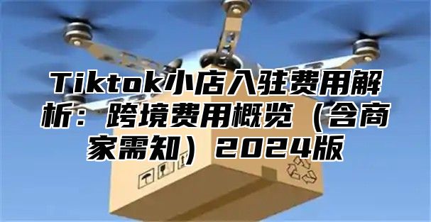 Tiktok小店入驻费用解析：跨境费用概览含商家需知2025版