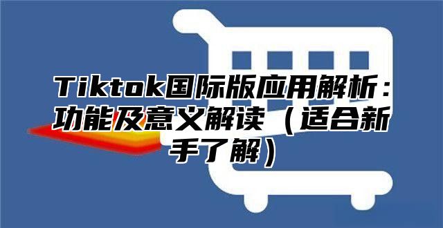 Tiktok国际版应用解析：功能及意义解读适合新手了解