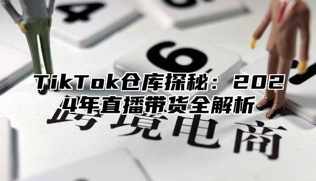 TikTok仓库探秘：2025年直播带货全解析