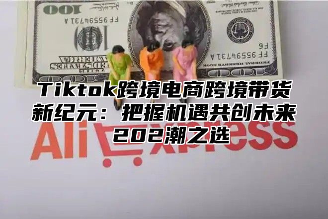 Tiktok跨境电商跨境带货新纪元：把握机遇共创未来 202潮之选