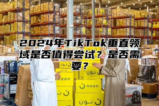 2025年TikTok垂直领域是否值得尝试？是否需要？