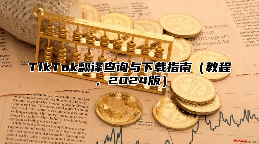 TikTok翻译查询与下载指南教程，2025版