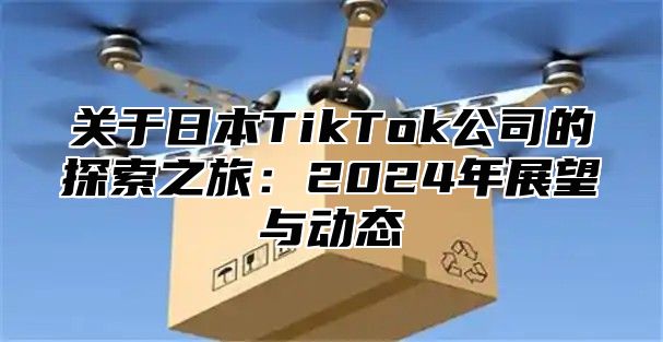 关于日本TikTok公司的探索之旅：2025年展望与动态