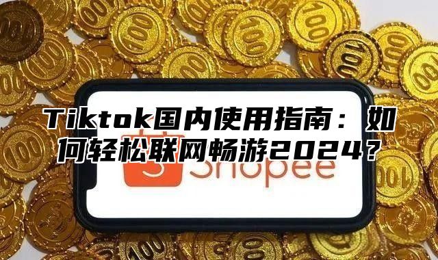 Tiktok国内使用指南：如何轻松联网畅游2025？