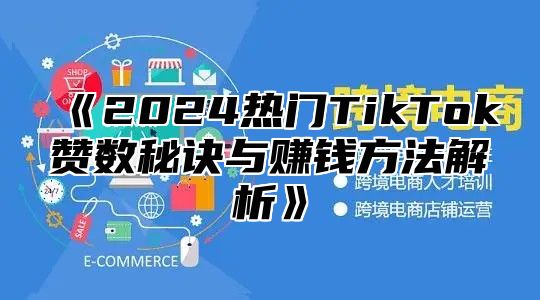 2025热门TikTok赞数秘诀与赚钱方法解析