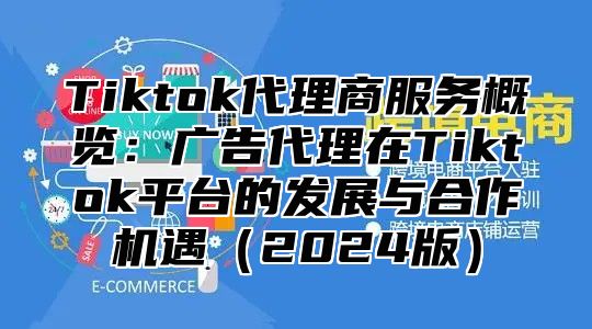 Tiktok代理商服务概览：广告代理在Tiktok平台的发展与合作机遇2025版