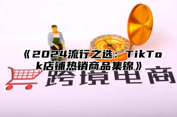 2025流行之选：TikTok店铺热销商品集锦