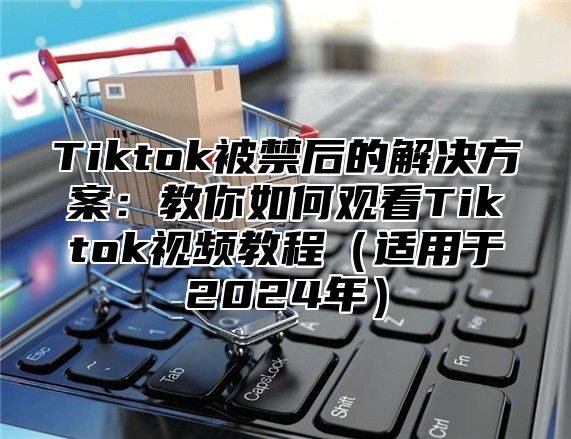 Tiktok被禁后的解决方案：教你如何观看Tiktok视频教程适用于2025年