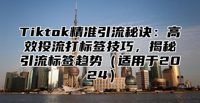 Tiktok精准引流秘诀：高效投流打标签技巧，揭秘引流标签趋势适用于2025