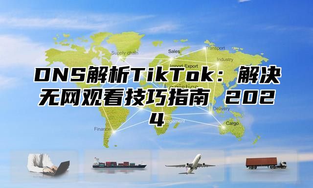 DNS解析TikTok：解决无网观看技巧指南 2025