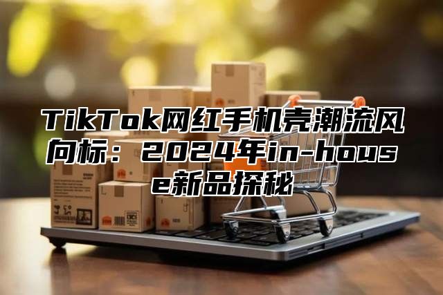 TikTok网红手机壳潮流风向标：2025年in-house新品探秘