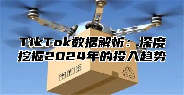 TikTok数据解析：深度挖掘2025年的投入趋势