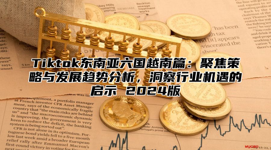 Tiktok东南亚六国越南篇：聚焦策略与发展趋势分析，洞察行业机遇的启示 2025版