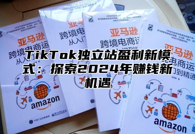 TikTok独立站盈利新模式：探索2025年赚钱新机遇