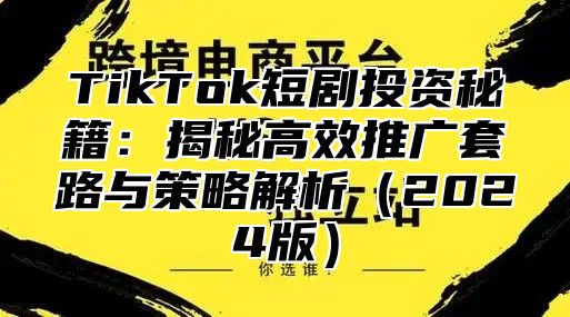 TikTok短剧投资秘籍：揭秘高效推广套路与策略解析2025版