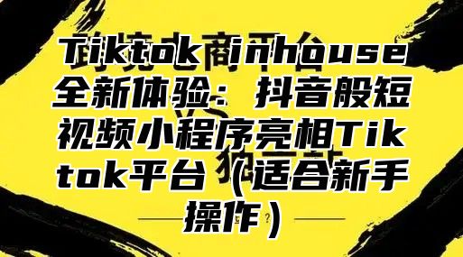 Tiktok inhouse全新体验：抖音般短视频小程序亮相Tiktok平台适合新手操作