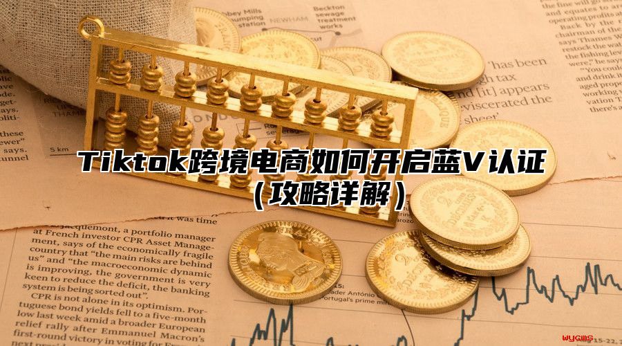 Tiktok跨境电商如何开启蓝V认证攻略详解