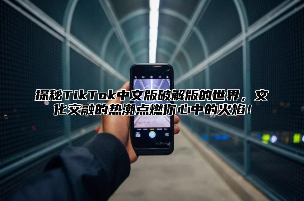 探秘TikTok中文版破解版的世界，文化交融的热潮点燃你心中的火焰！