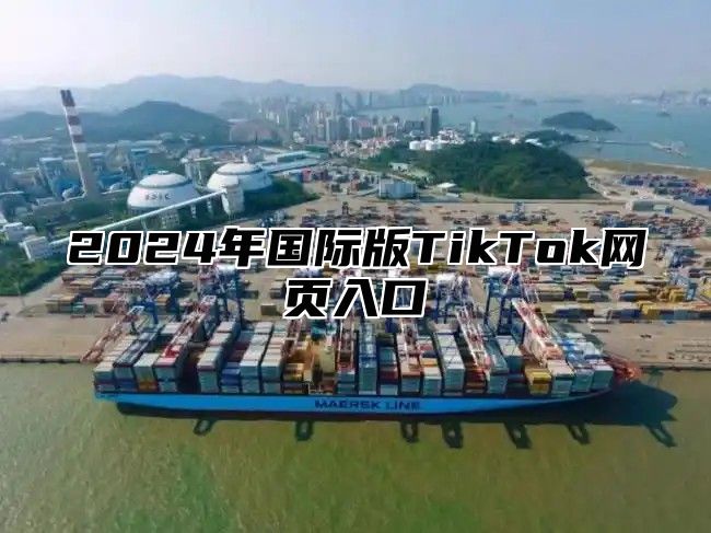 2025年国际版TikTok网页入口