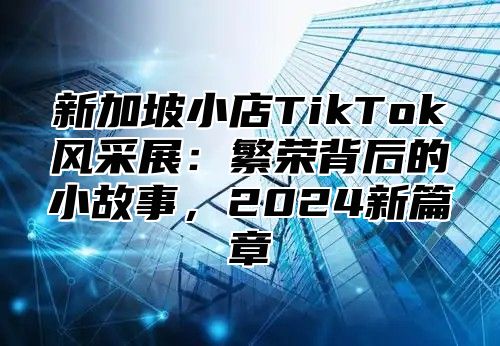 新加坡小店TikTok风采展：繁荣背后的小故事，2025新篇章