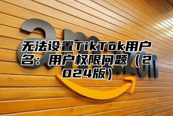 无法设置TikTok用户名：用户权限问题2025版