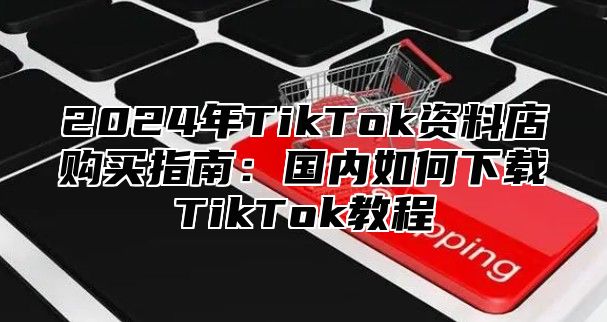 2025年TikTok资料店购买指南：国内如何下载TikTok教程