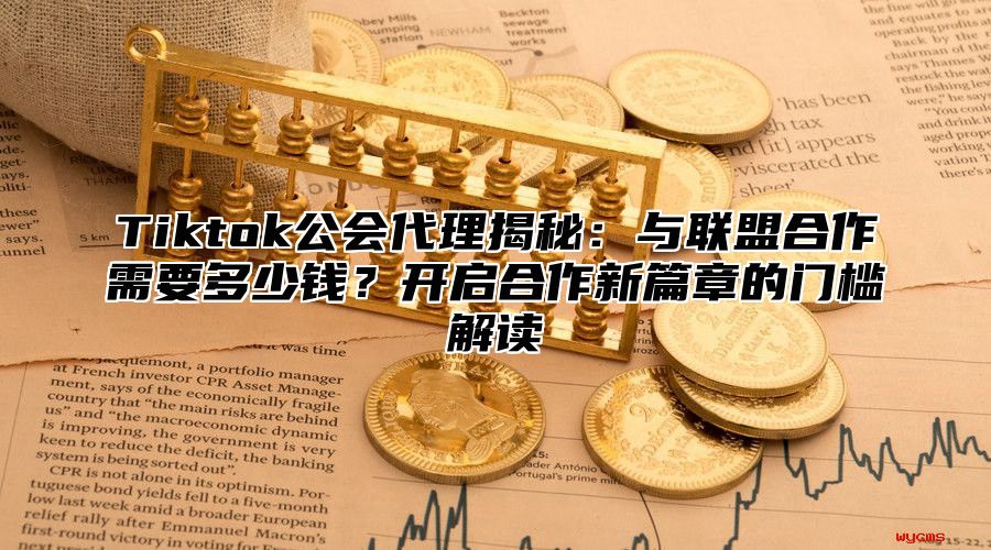 Tiktok公会代理揭秘：与联盟合作需要多少钱？开启合作新篇章的门槛解读