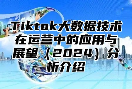 Tiktok大数据技术在运营中的应用与展望2025分析介绍