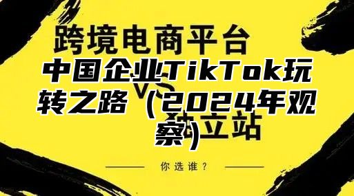 中国企业TikTok玩转之路2025年观察