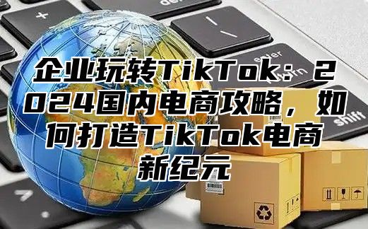 企业玩转TikTok：2025国内电商攻略，如何打造TikTok电商新纪元
