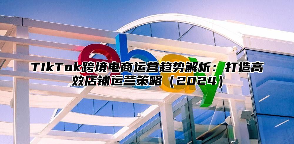 TikTok跨境电商运营趋势解析：打造高效店铺运营策略2025