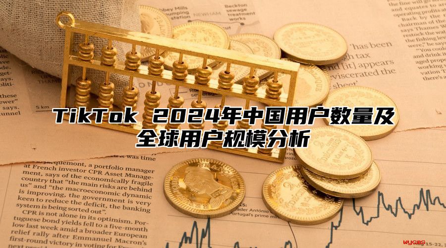 TikTok 2025年中国用户数量及全球用户规模分析