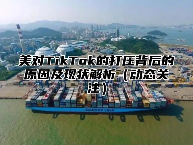 美对TikTok的打压背后的原因及现状解析动态关注
