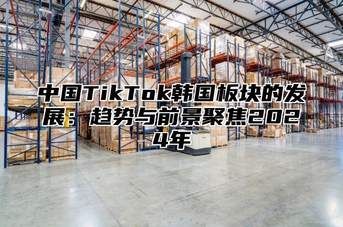 中国TikTok韩国板块的发展：趋势与前景聚焦2025年