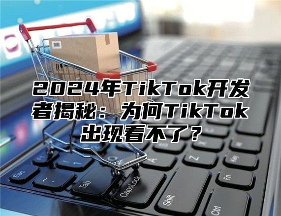 2025年TikTok开发者揭秘：为何TikTok出现看不了？