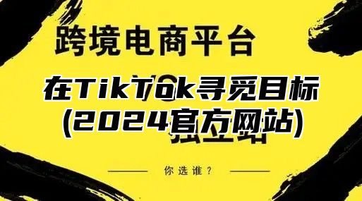 在TikTok寻觅目标(2025官方网站)
