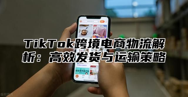 TikTok跨境电商物流解析：高效发货与运输策略
