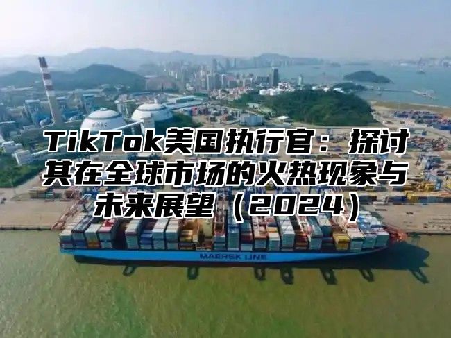 TikTok美国执行官：探讨其在全球市场的火热现象与未来展望2025