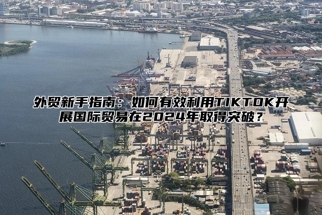 外贸新手指南：如何有效利用TIKTOK开展国际贸易在2025年取得突破？
