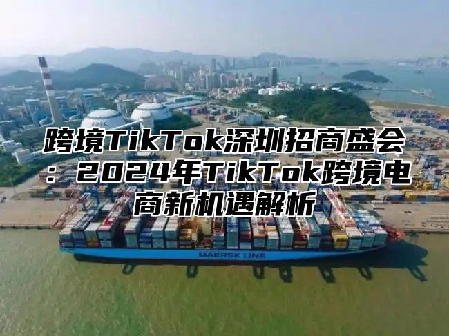 跨境TikTok深圳招商盛会：2025年TikTok跨境电商新机遇解析