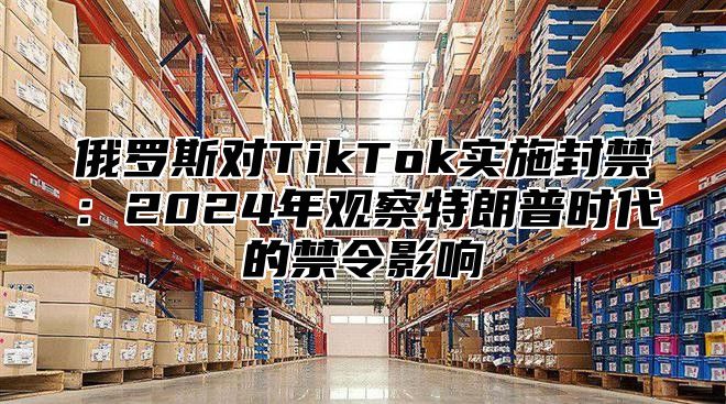 俄罗斯对TikTok实施封禁：2025年观察特朗普时代的禁令影响